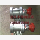 2CY不銹鋼齒輪泵-泊頭不銹鋼泵找海納機械